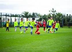 水晶宫持续,选拔新帅,霍奇森留任,大发彩神,彩票平台,在线投注,高频彩票,彩票服务