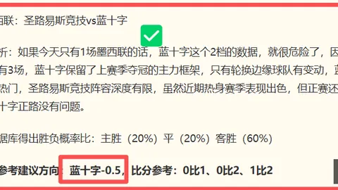 2026赛季深度解析：坦佩雷冲击战防挑战